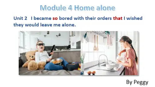 Module+4+Home+alone+By+Peggy+Unit+2++课件+外研版英语九年级上册