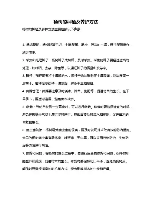 杨树的种植及养护方法