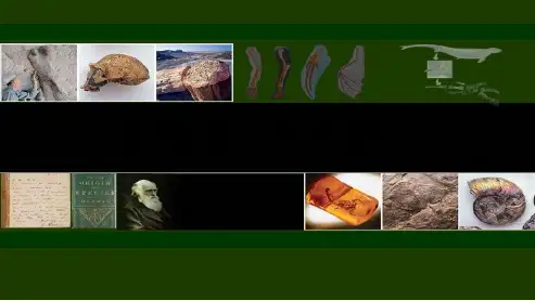 新人教版八年级生物下册第二节生物进化的历程ppt课件