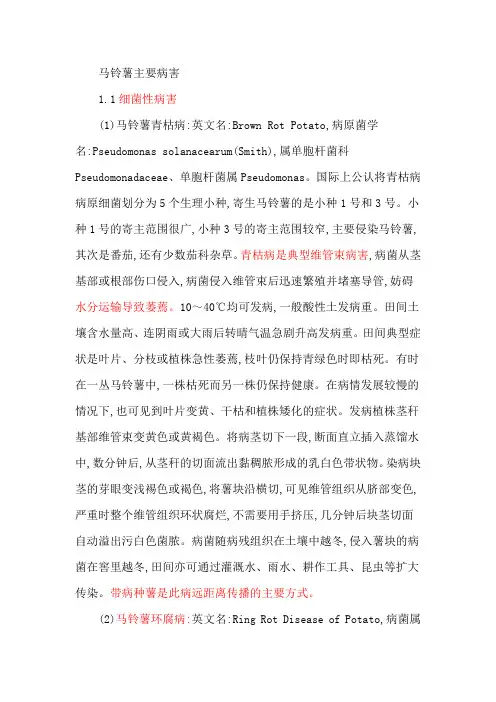 马铃薯主要病害