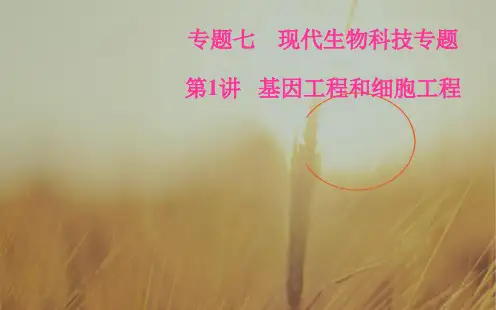 2018高考生物二轮专题复习课件：专题七第1讲基因工程和细胞工程