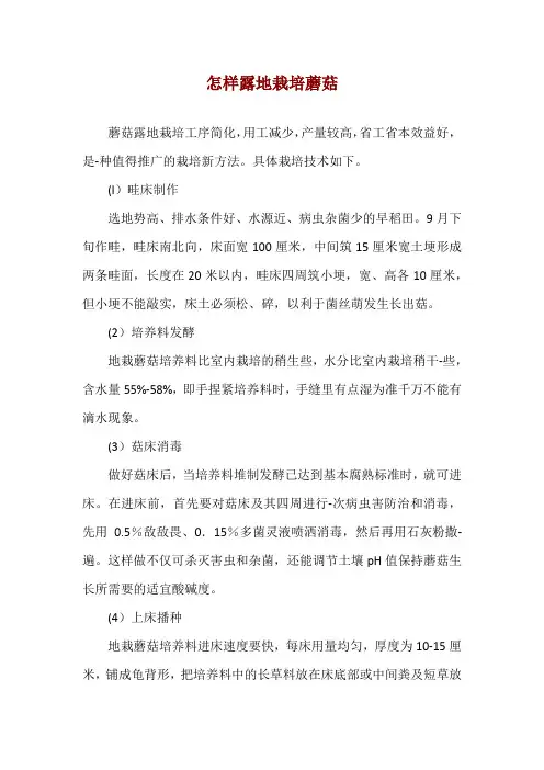 怎样露地栽培蘑菇