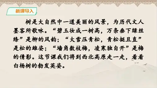 人教部编版八年级语文上册《白杨礼赞》公开教学课件