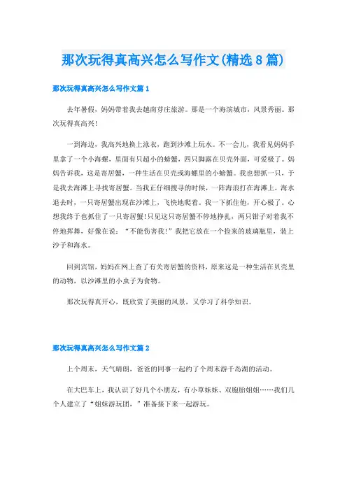 那次玩得真高兴怎么写作文(精选8篇)