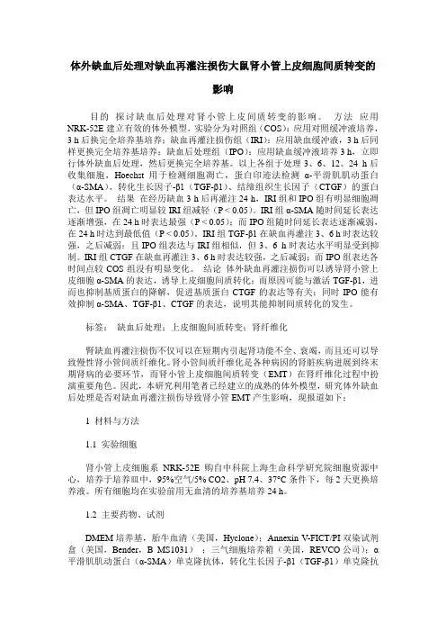 体外缺血后处理对缺血再灌注损伤大鼠肾小管上皮细胞间质转变的影响