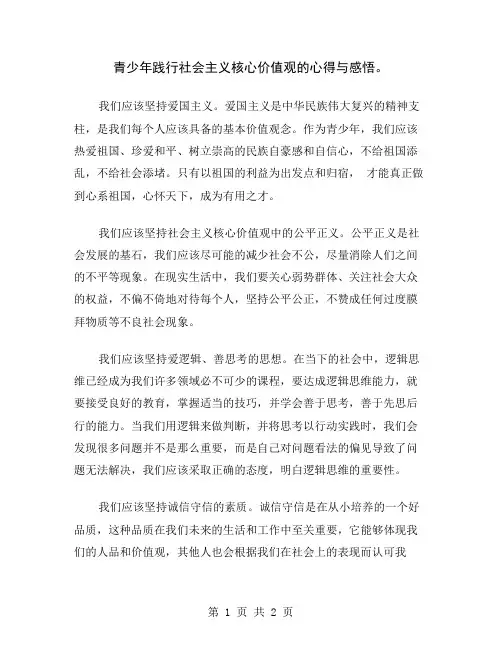 青少年践行社会主义核心价值观的心得与感悟