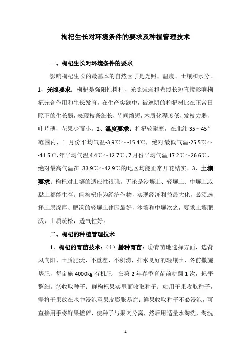 枸杞生长对环境条件的要求及种植管理技术