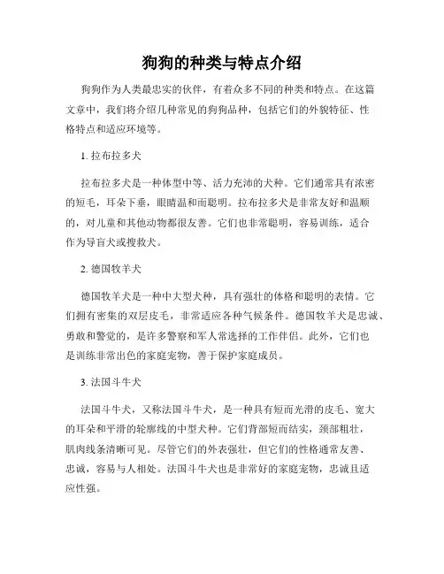 狗狗的种类与特点介绍