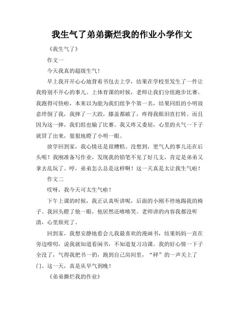 我生气了弟弟撕烂我的作业小学作文