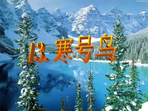 二年级语文上册第五单元第13课《寒号鸟》课件(最新教育部编人教版)