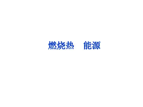 燃烧热、能源  课件
