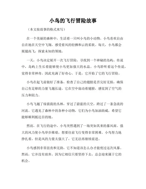 小鸟的飞行冒险故事