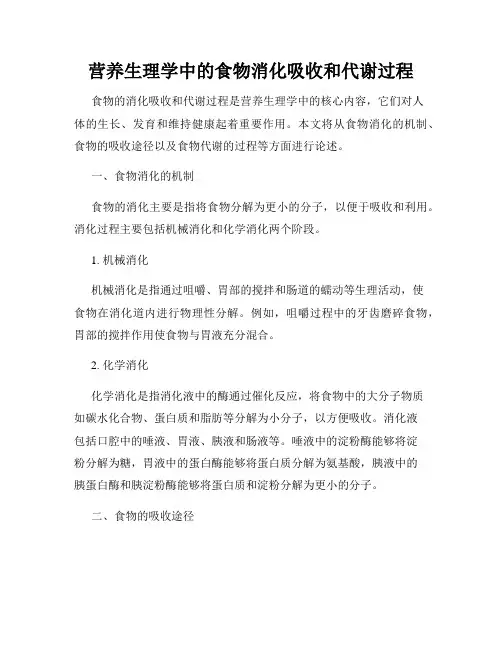 营养生理学中的食物消化吸收和代谢过程