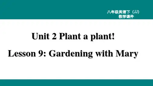 冀教版八年级下册英语精品教学课件 Unit 2 Plant a Plant! Lesson 9