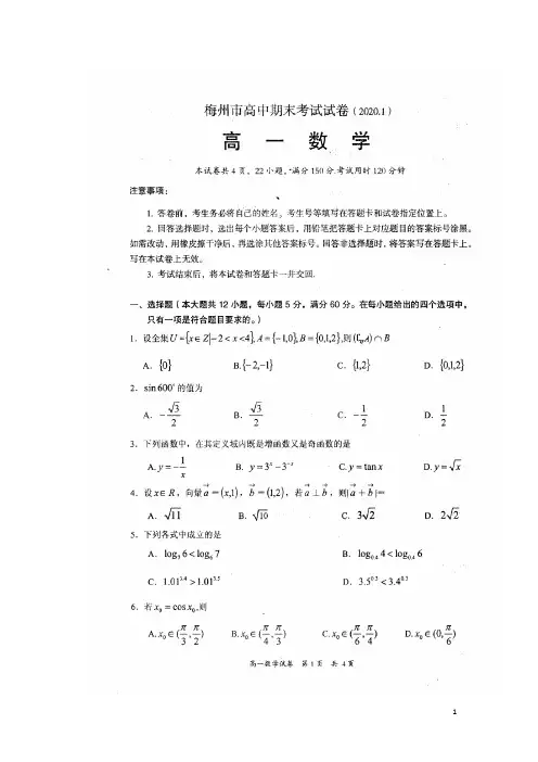 广东省梅州市2019_2020学年高一数学上学期期末考试试题(扫描版)