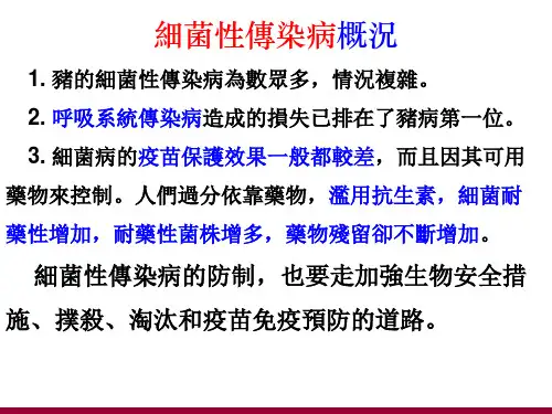 猪丹毒课件