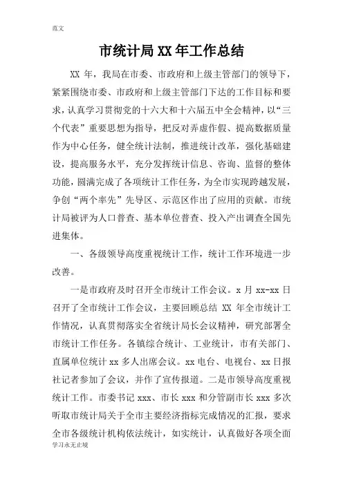 【范文】市统计局XX年工作总结