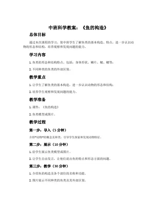 中班科学教案：《鱼的构造》