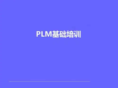 PLM基础培训课件PPT(共 99张)