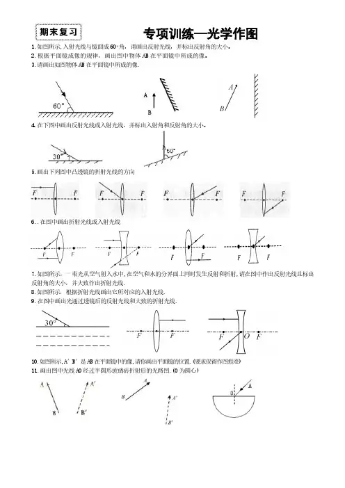 专项训练—光学作图