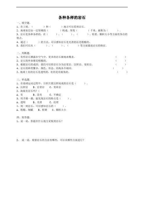 粤教版四年级上册科学《各种各样的岩石》练习题及答案