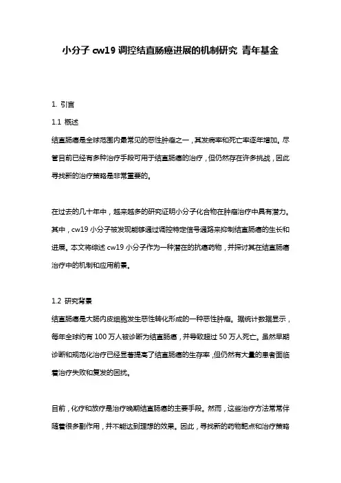 小分子cw19调控结直肠癌进展的机制研究 青年基金