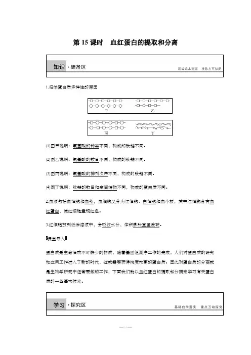 血红蛋白的提取和分离   基础知识