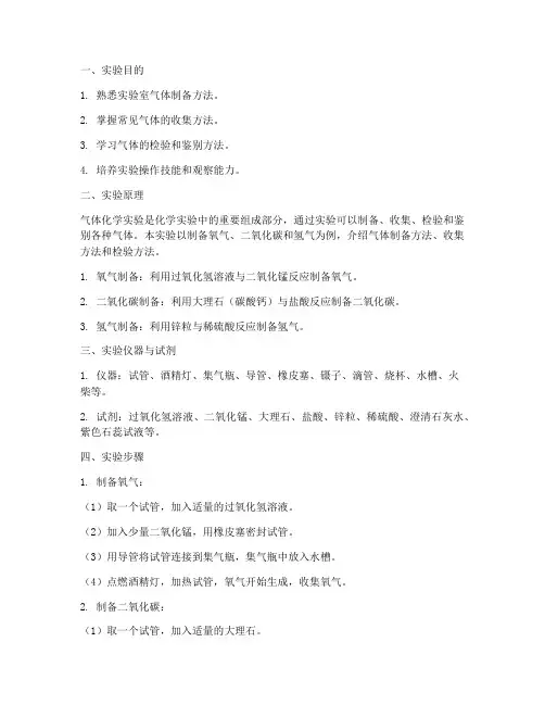 制作气体化学实验报告