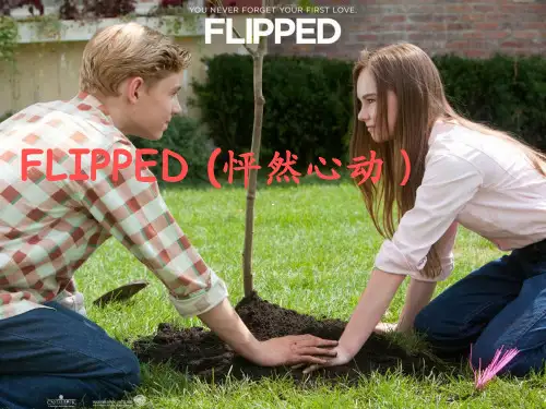 怦然心动 Flipped英文介绍