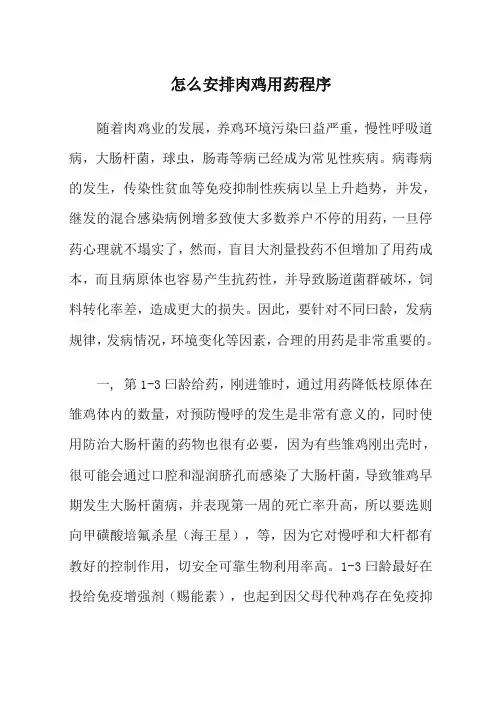 怎么安排肉鸡用药程序