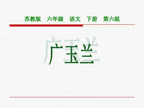 《广玉兰》PPT课件 公开课获奖课件