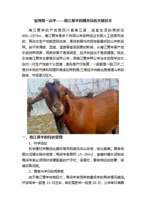 亚洲第一山羊——南江黄羊的圈舍饲养关键技术