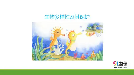 课件3：4.2 生物多样性及其保护