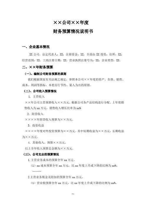 财务预算情况说明书