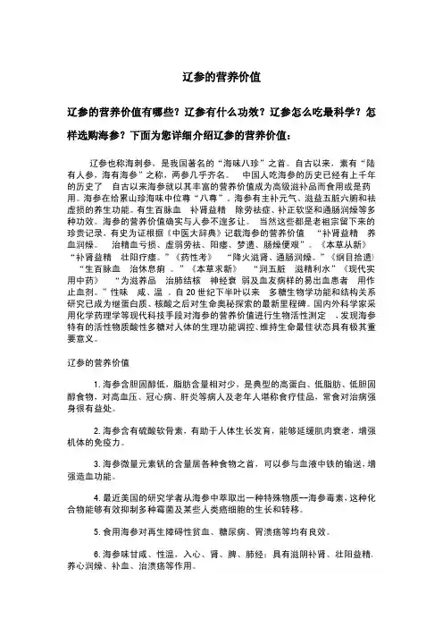 辽参的营养价值