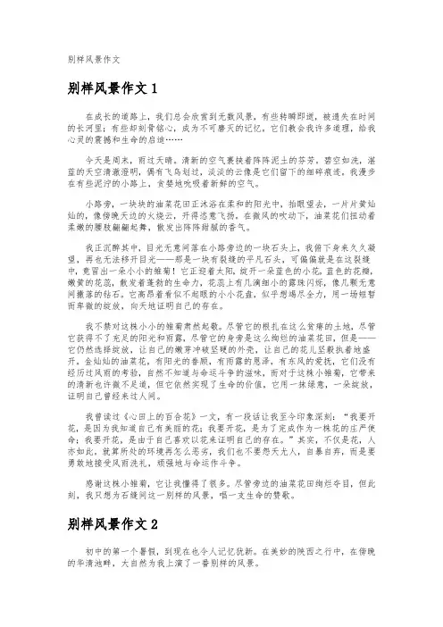 别样风景作文