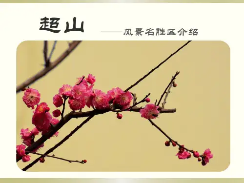 风景名胜区介绍 超山
