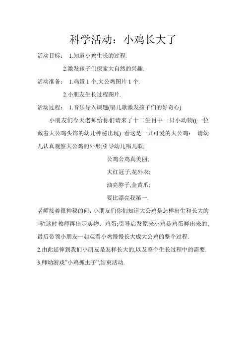 科学活动：小鸡长大了