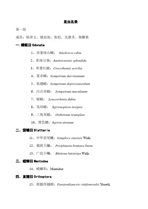 昆虫名录(第一组)