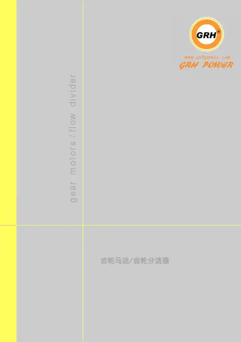 样本_齿轮马达 gear motor