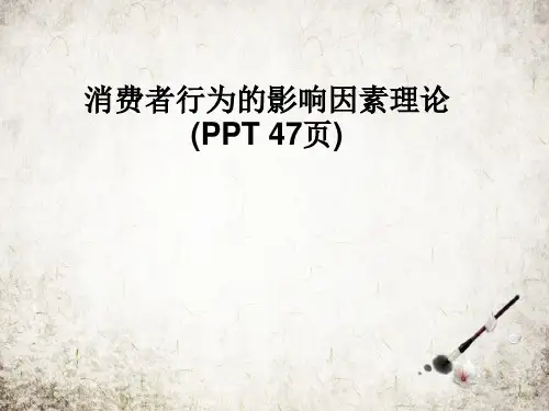 消费者行为的影响因素理论(PPT 47页)