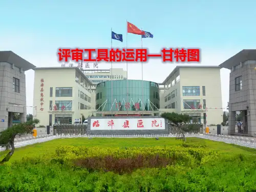 评审工具-甘特图