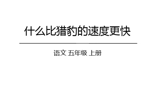《什么比猎豹的速度更快》ppt课件