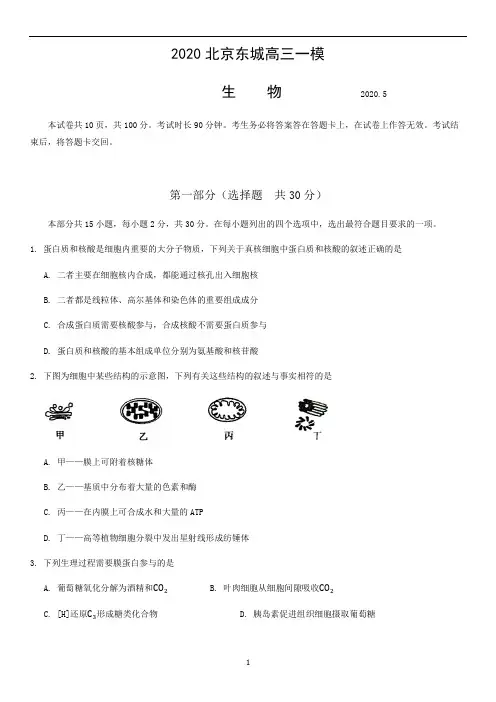 北京市东城区2020届高三下学期综合练习(一)(一模)生物试题含答案(1)