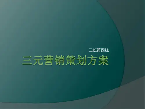 三元营销策划方案