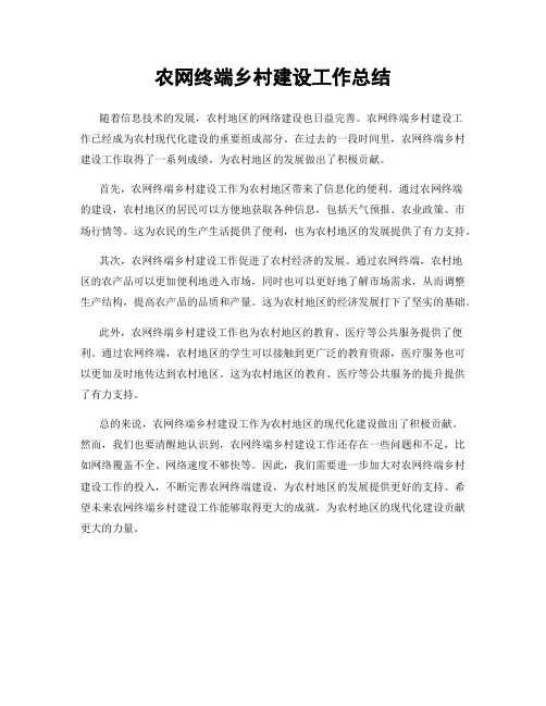 农网终端乡村建设工作总结