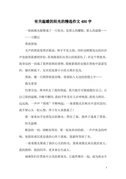 有关温暖的阳光的精选作文400字
