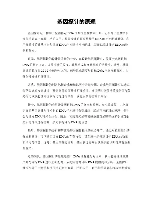 基因探针的原理