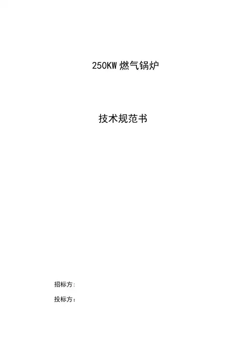 燃气锅炉技术规范书 218.6