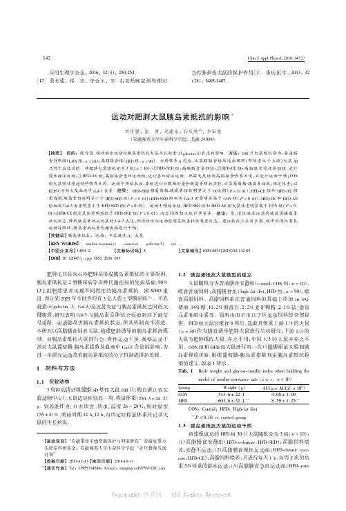 运动对肥胖大鼠胰岛素抵抗的影响